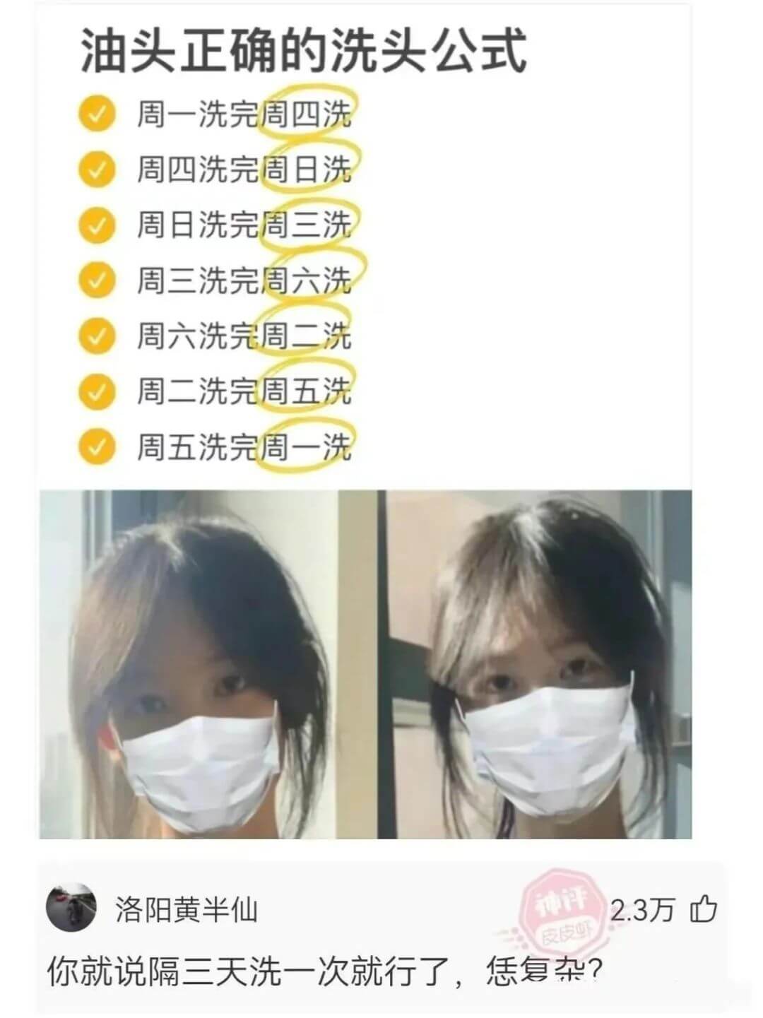 油头正确的洗头公式周一洗完周四洗周四洗完周日洗周日洗完周三洗
