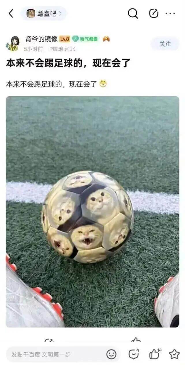 毫吧C肾爷的镜像Lv8哈气電蓝关注5小时前IP属地：河北本来