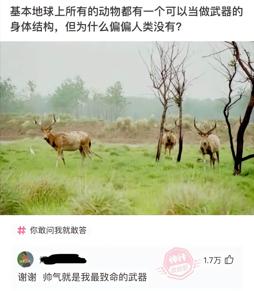 基本地球上所有的动物都有一个可以当做武器的身体结构，但为什么