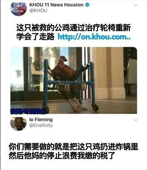 KHOU11NewsHouston@KHOU这只被救的公鸡通