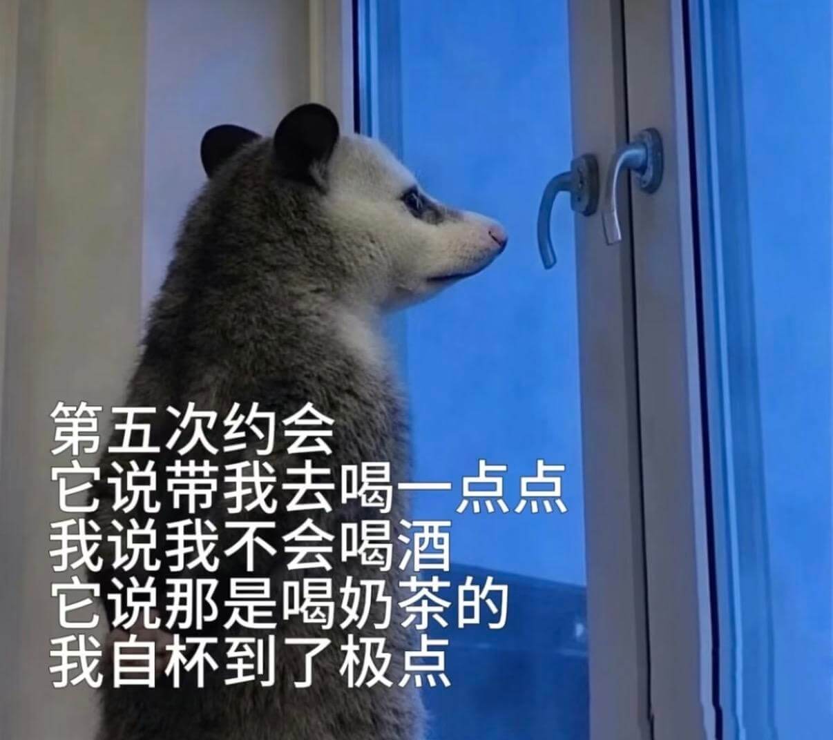 第五次约会它说带我去喝一点点，我说我不会喝酒，它说那是喝奶茶