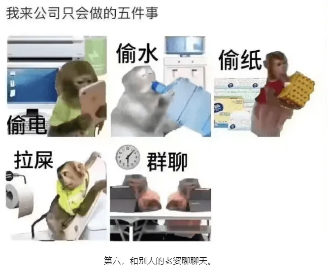 我来公司只会做的五件事：偷水偷纸偷电拉屎群聊第六，和别人的老