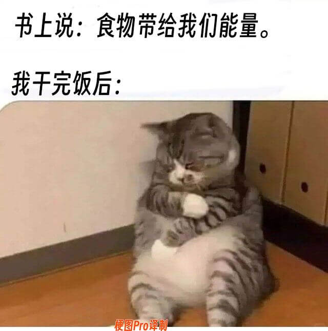书上说：食物带给我们能量我干完饭后：梗图Pro译制