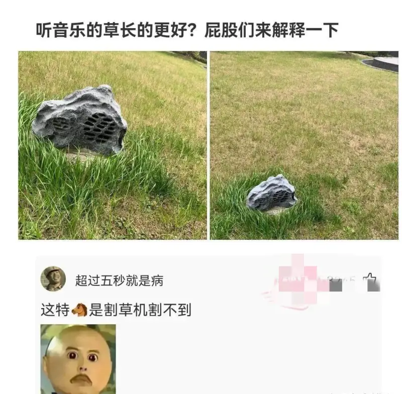 听音乐的草长的更好？屁股们来解释一下超过五秒就是病这特是割草