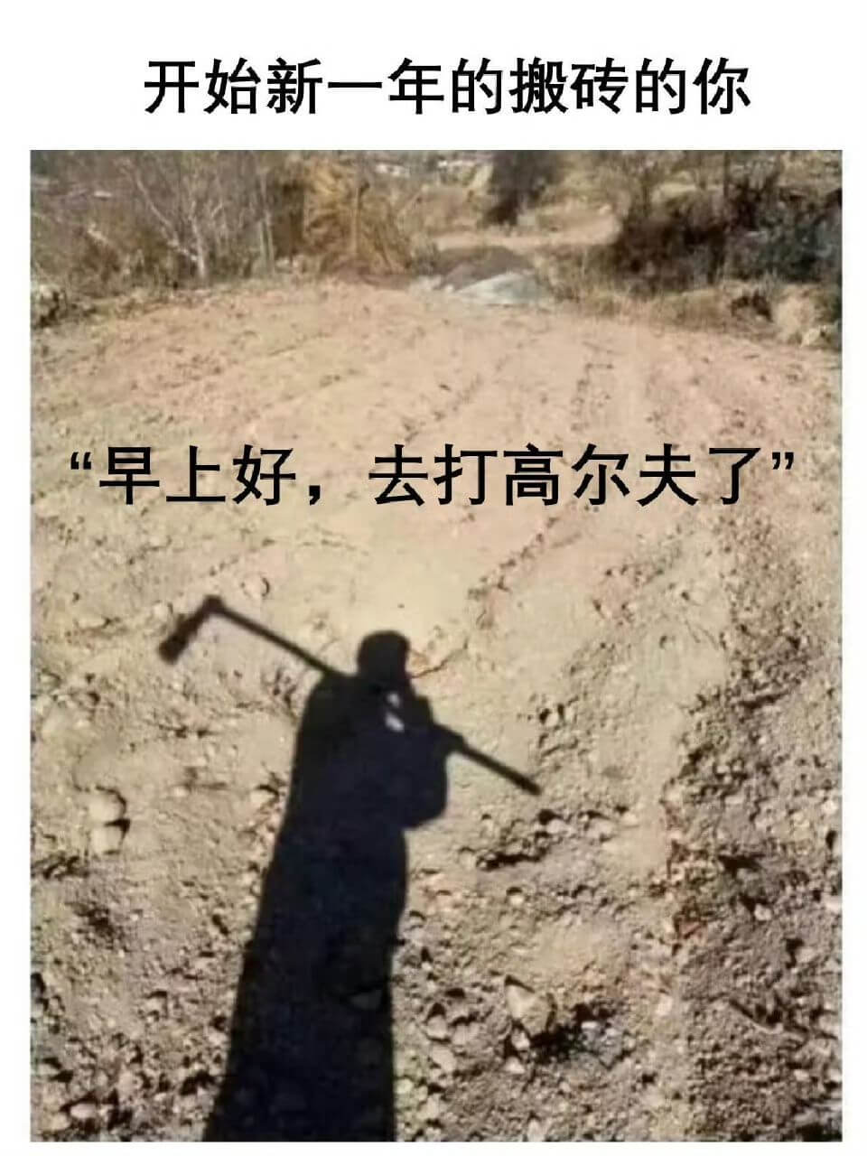 开始新一年的搬砖的你:“早上好,去打高尔夫了。”