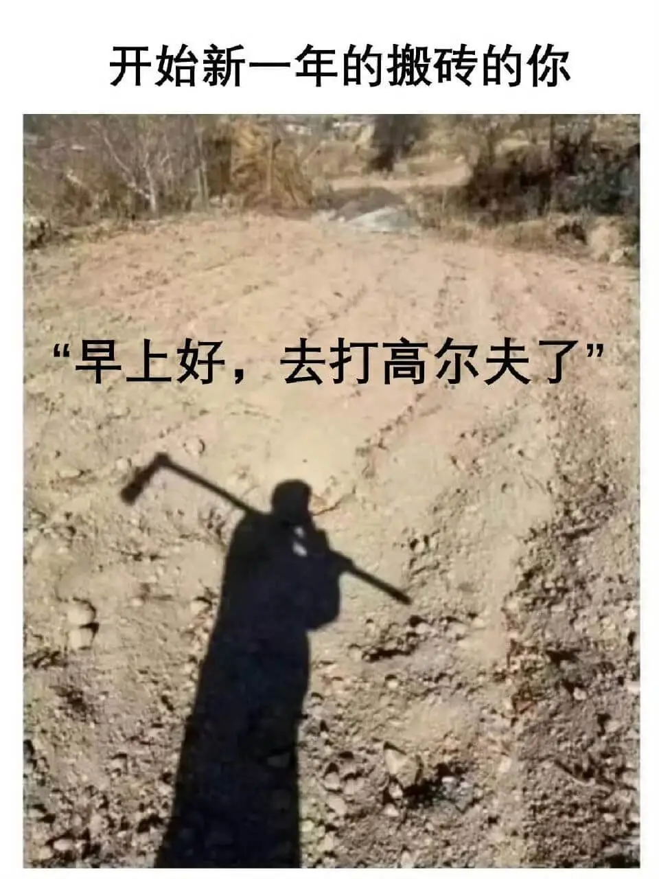 开始新一年的搬砖的你:“早上好,去打高尔夫了。”