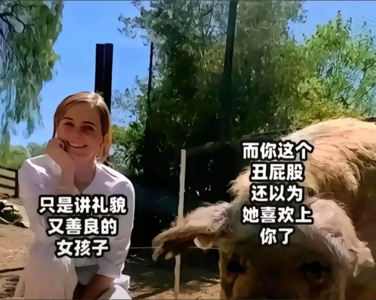 而你这个丑屁股还以为只是讲礼貌她喜欢上又善良的你了女孩子
