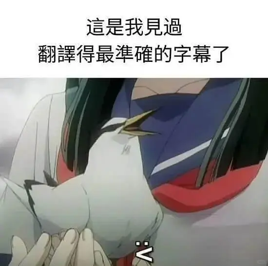 是我見逼翻得最准雍的字幕了