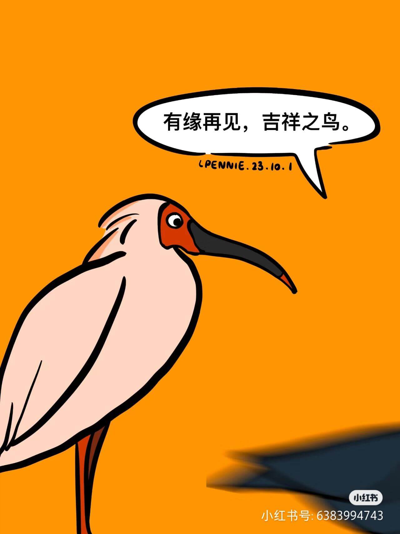 有缘再见,吉祥之鸟LPENNIE.23.10.1小红书小红书