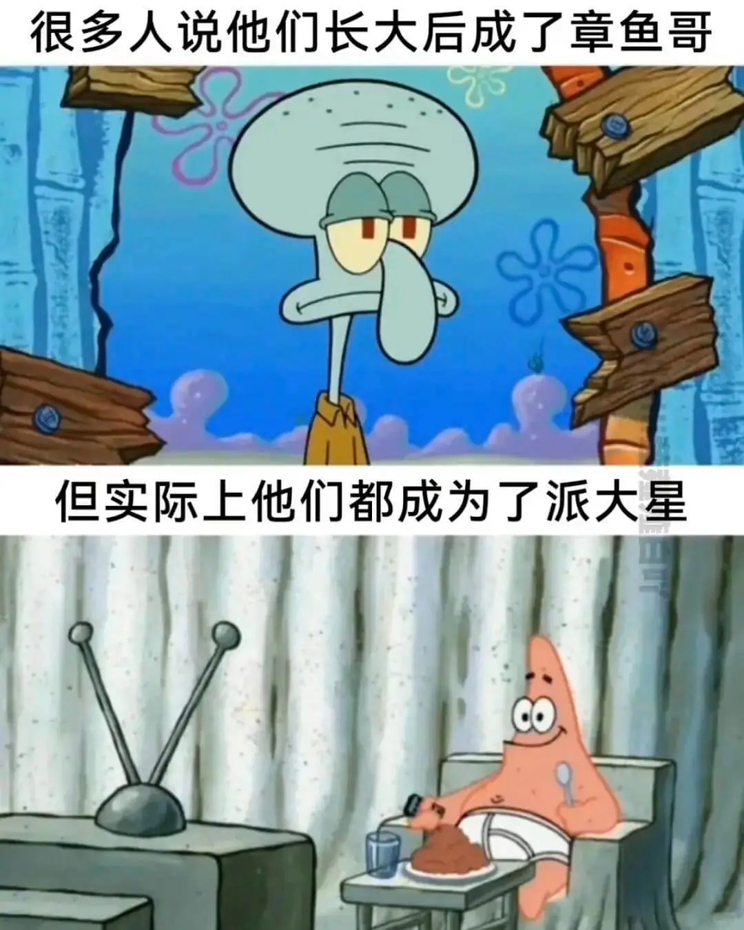 很多人说他们长大后成了章鱼哥但实际上他们都成为了派大星