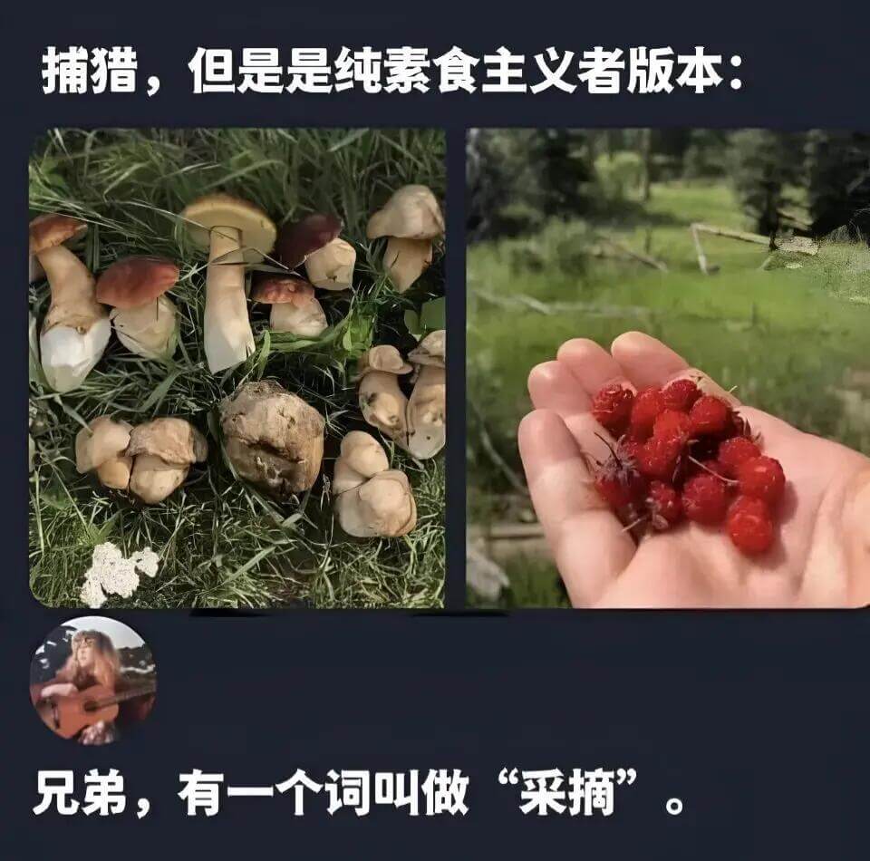 捕猎，但是是纯素食主义者版本：兄弟，有一个词叫做“采摘”