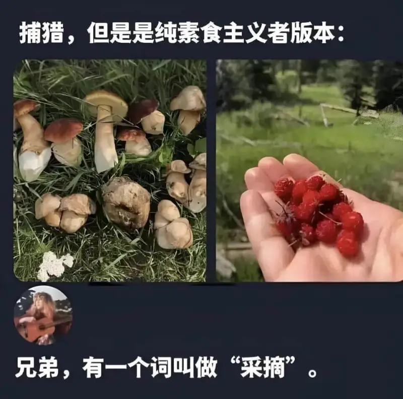 捕猎，但是是纯素食主义者版本：兄弟，有一个词叫做“采摘”