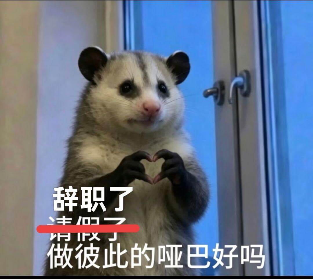 辞职了，做彼此的哑巴，好吗？