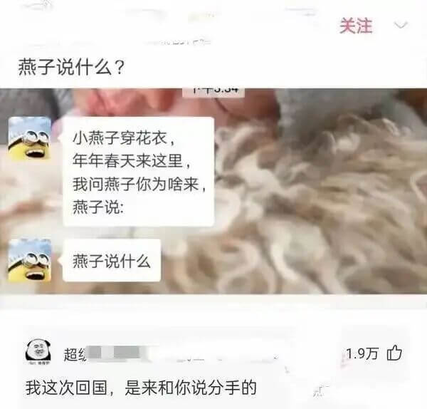 关注燕子说什么？小燕子穿花衣，年年春天来这里我问燕子你为啥来