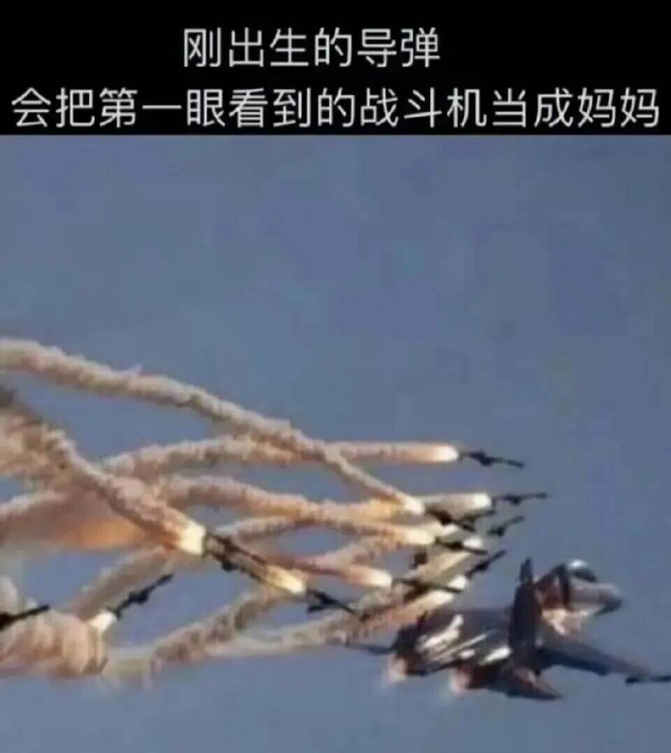 刚出生的导弹会把第一眼看到的战斗机当成妈妈
