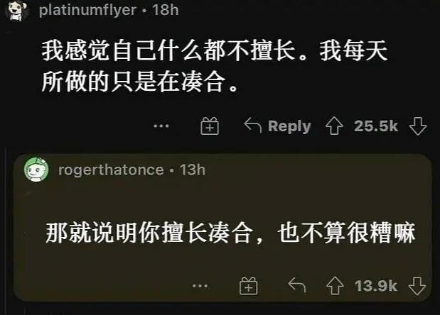 platinumflyer·18h我感觉自己什么都不擅长。我