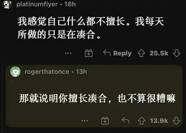 platinumflyer·18h我感觉自己什么都不擅长。我