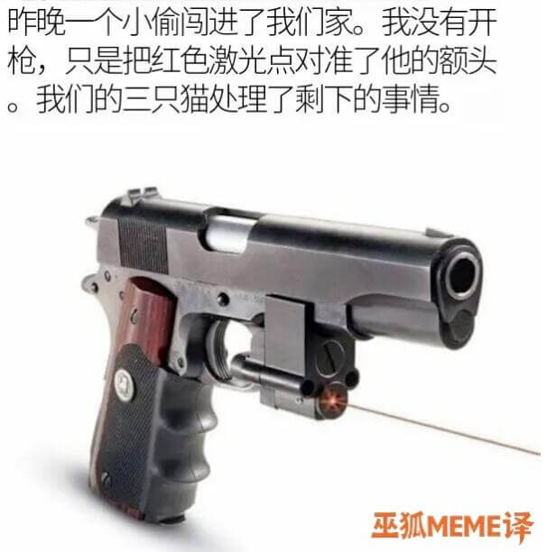 昨晚一个小偷进了我们家。我没有拿枪，只是把红色激光点对准了他
