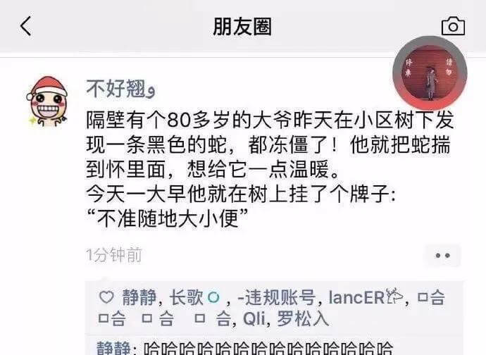 朋友圈不好翘,隔壁有个80多岁的大爷昨天在小区树下发现一条黑