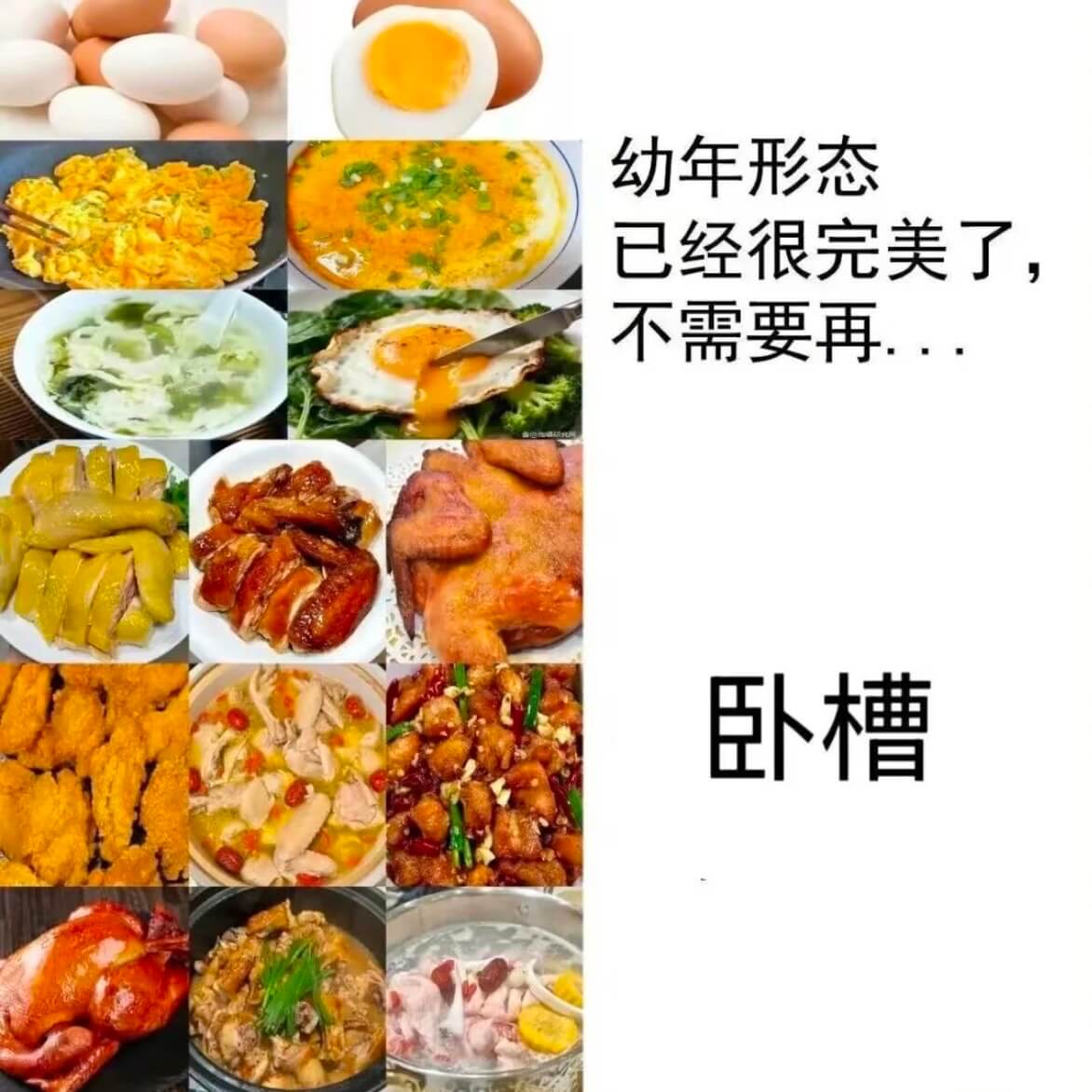 幼年形态已经很完美了，不需要再……卧槽
