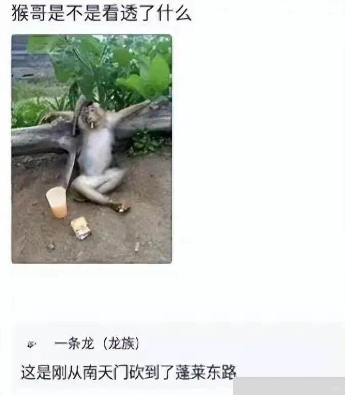 猴哥是不是看透了什么一条龙（龙族）这是刚从南天门砍到了蓬莱东
