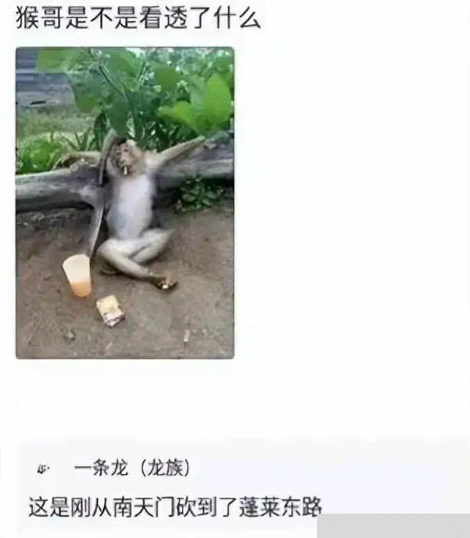 猴哥是不是看透了什么一条龙（龙族）这是刚从南天门砍到了蓬莱东