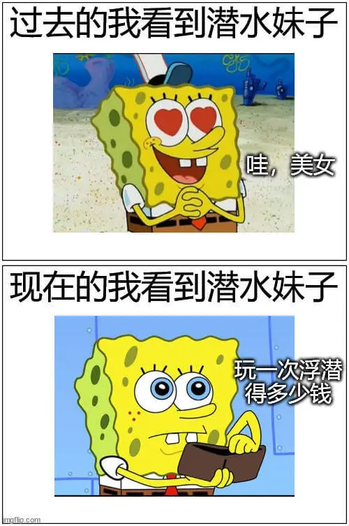 过去的我看到潜水妹子：“哇，美女！”现在的我看到潜水妹子：“