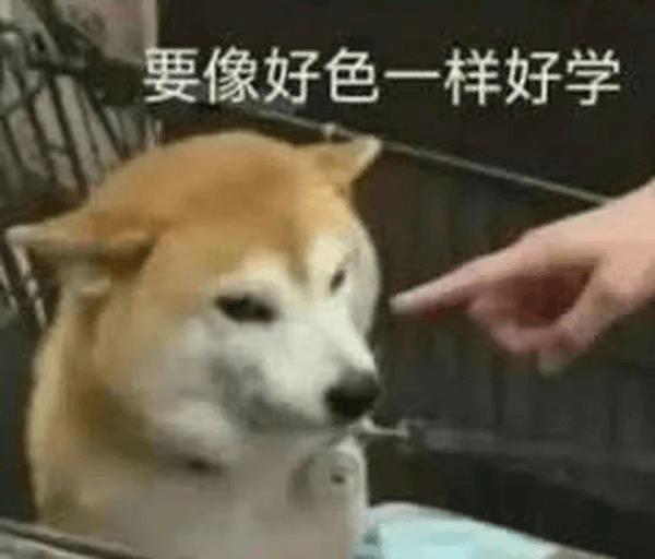 要像好色一样好学