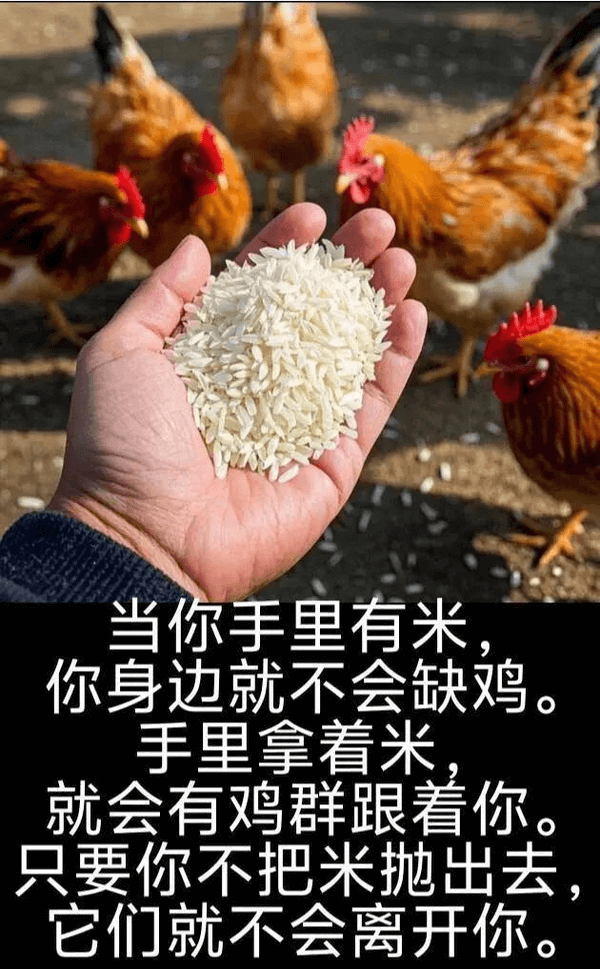 当你手里有米，你身边就不会缺鸡。手里拿着米，就会有鸡群跟着你
