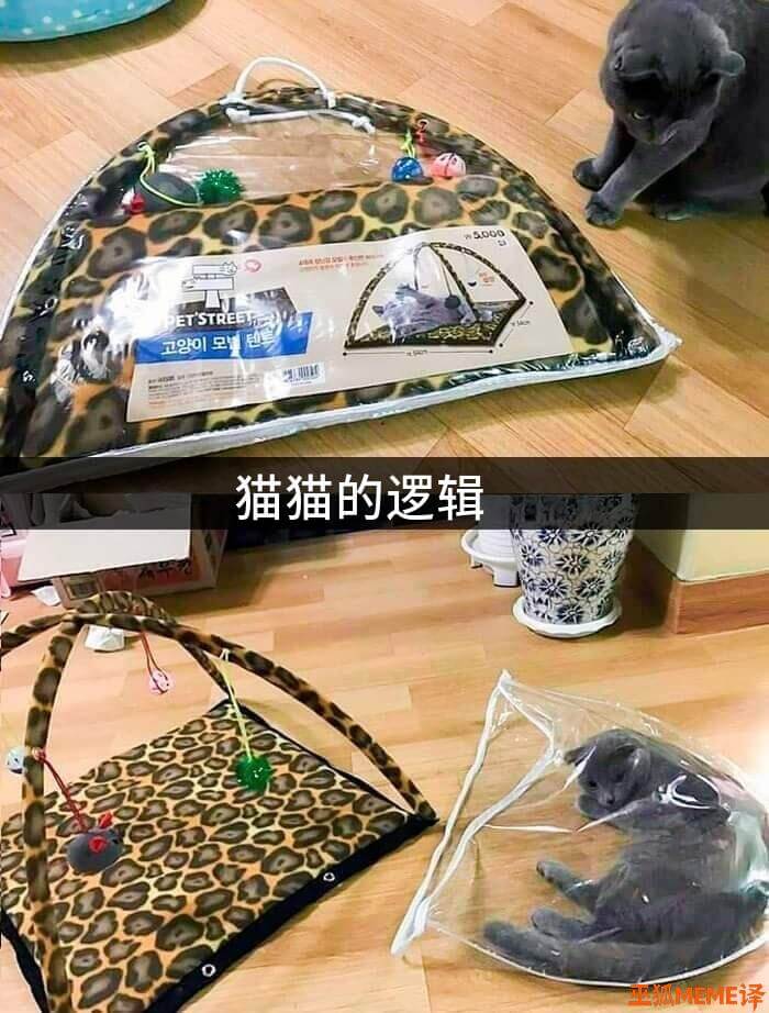SR猫猫的逻辑正狐MEME译