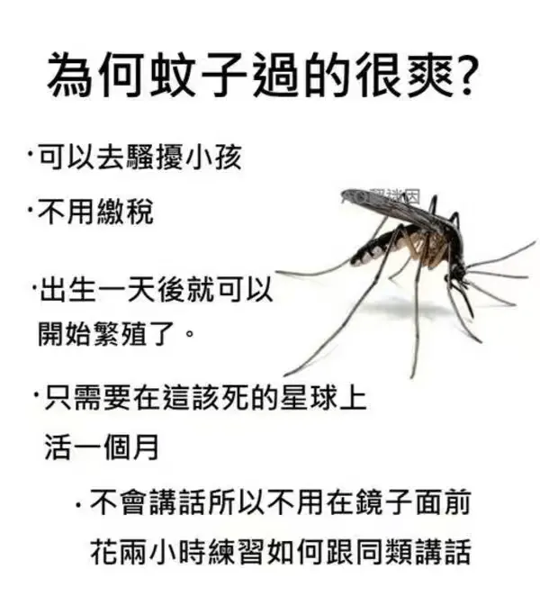 為何蚊子的很爽？·可以去小孩·不用繳稅·出生一天就開始繁殖了