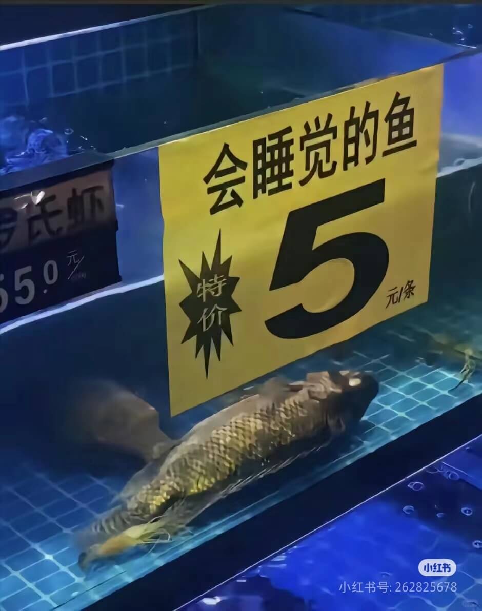 特价元/条小红书小红书号：262825678
