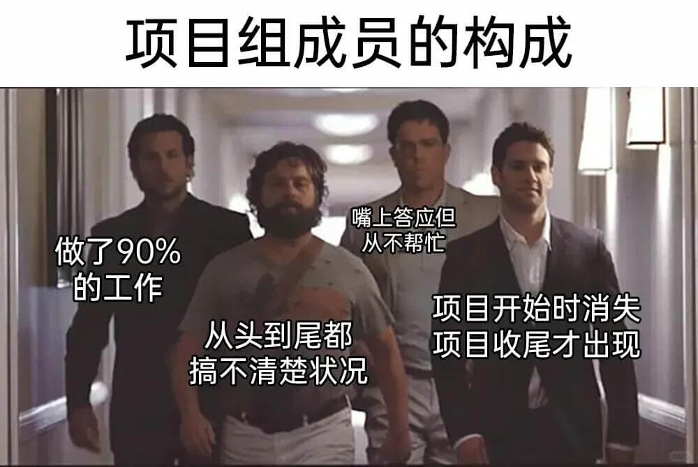 项目组成员的构成嘴上答应但从不帮忙，做了90%的工作。项目开