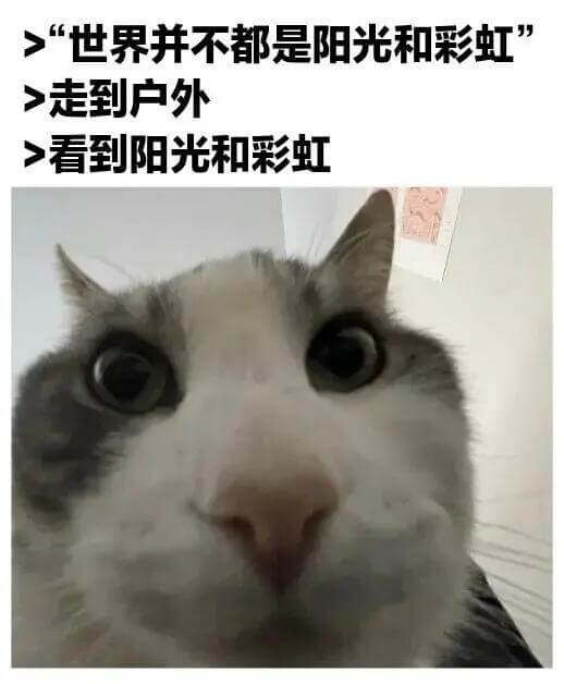 “世界并不都是阳光和彩虹走到户外看到阳光和彩虹”