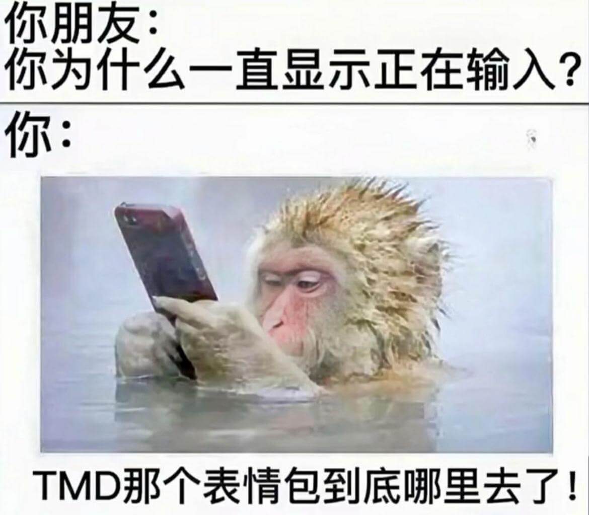 你朋友：你为什么一直显示正在输入？你：TMD那个表情包到底哪