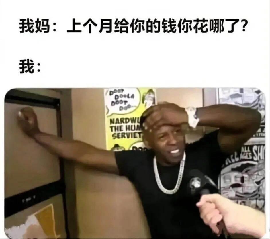 我妈：上个月给你的钱你花哪了？我：DOOTDONARDWUT