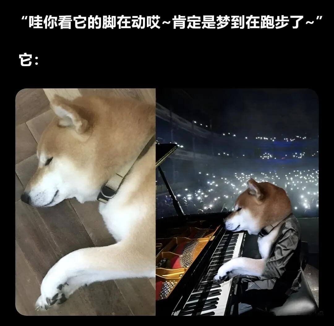 哇，你看它的脚在动哎～肯定是梦到在跑步了～