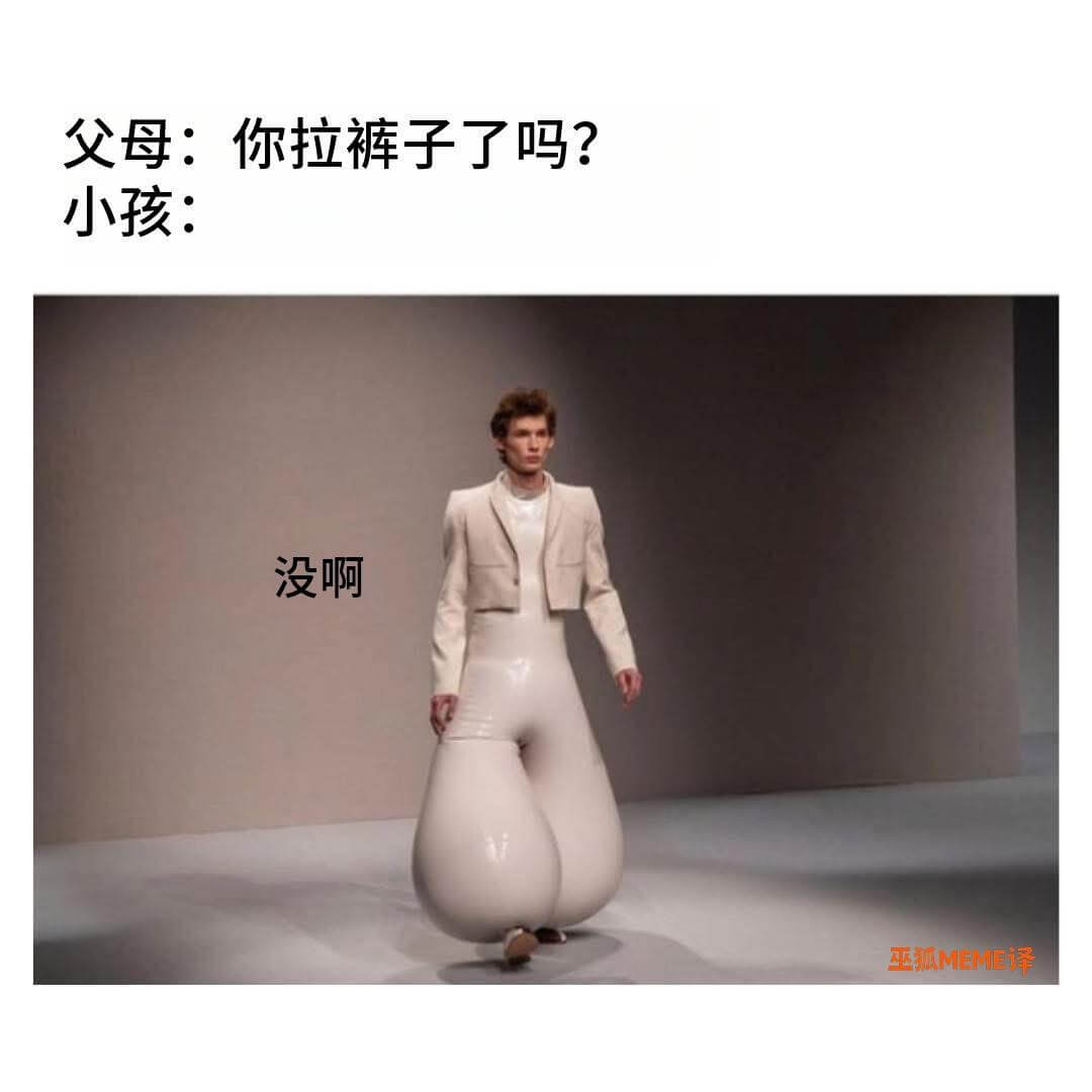 父母：你拉裤子了吗？小孩：没啊巫狐MEME译