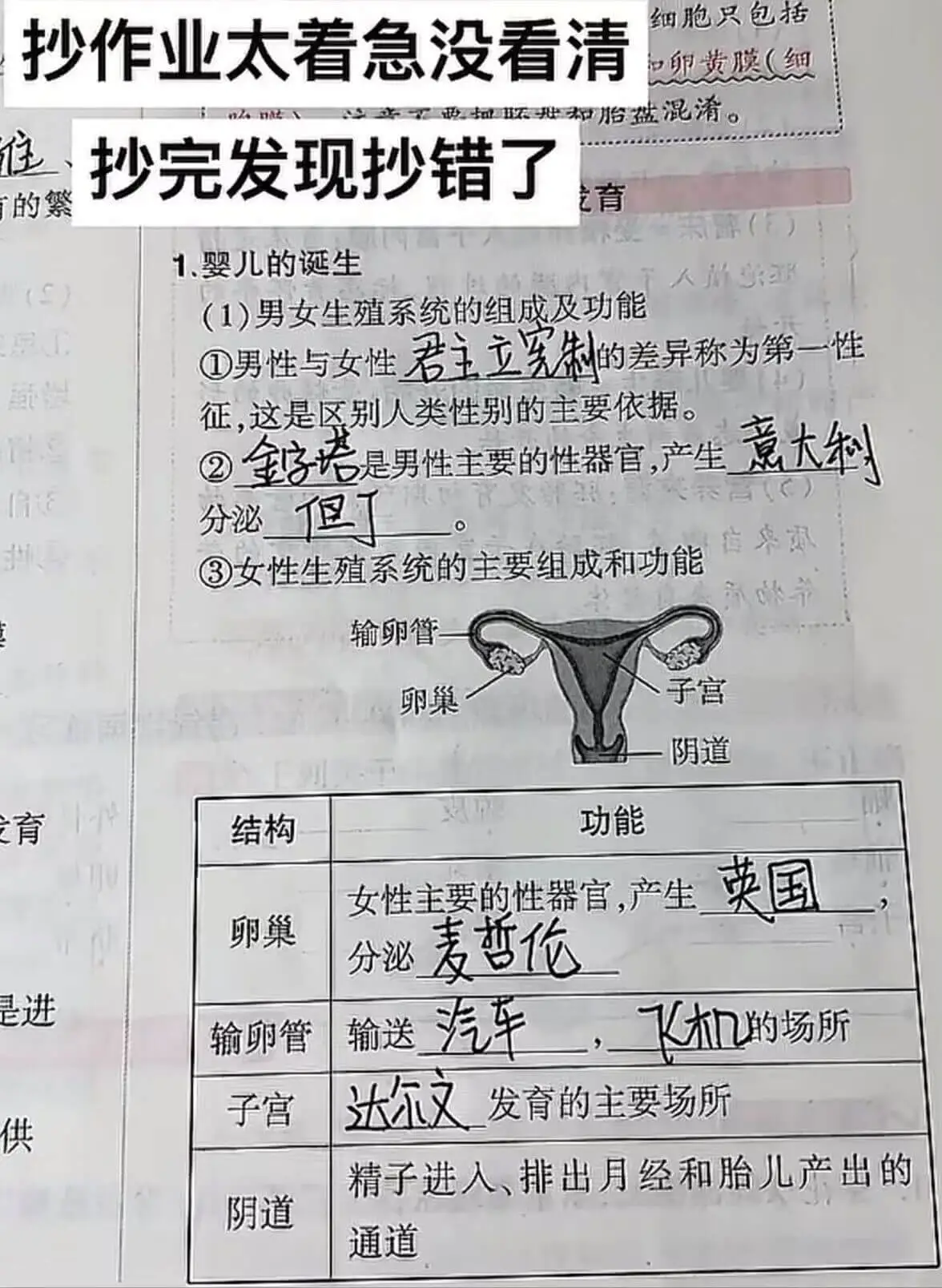 细胞只包括抄作业太着急没看清和卵黄膜（细住抄完发现抄错了老育