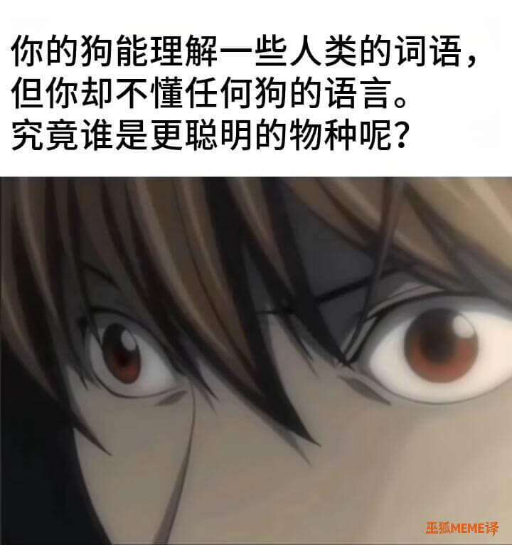 你的狗能理解一些人类的词语，但你却不懂任何狗的语言，究竟谁是