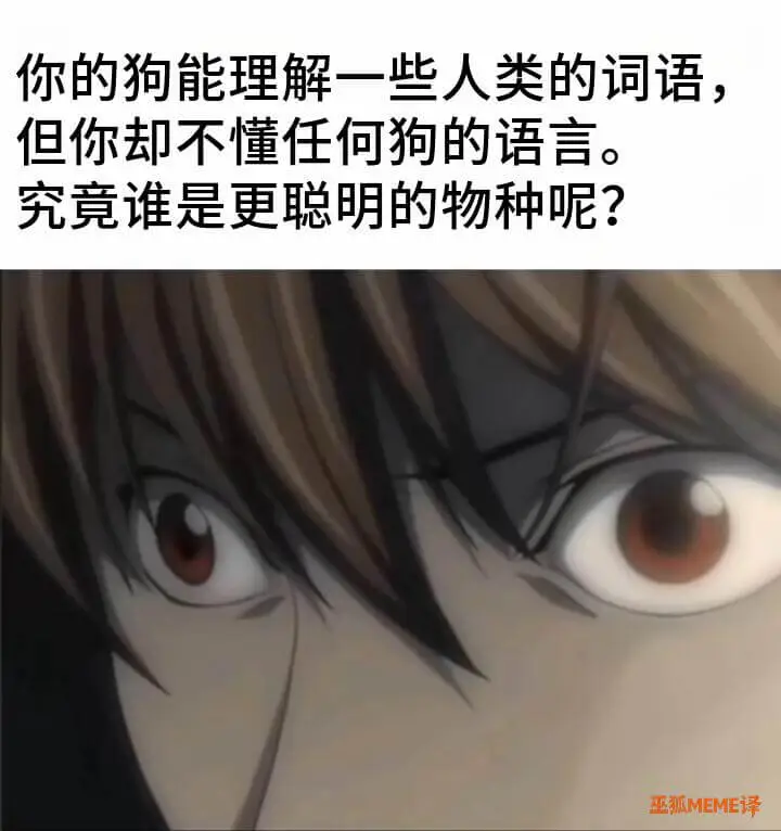 你的狗能理解一些人类的词语，但你却不懂任何狗的语言，究竟谁是