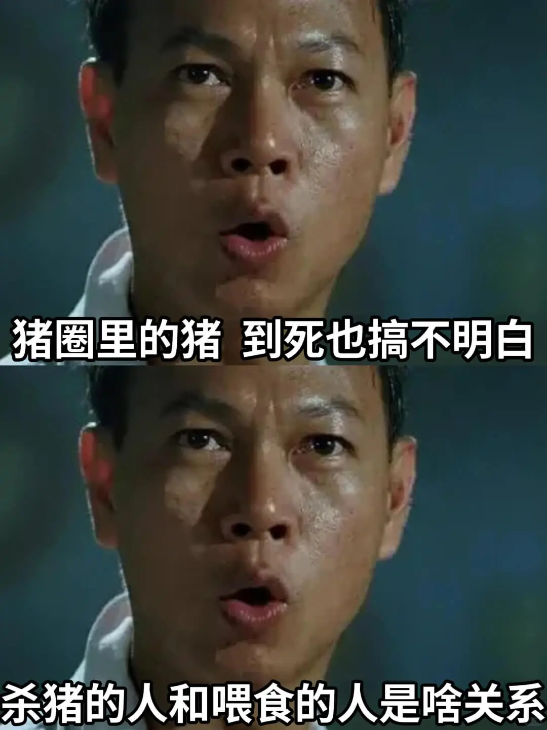 猪圈里的猪到死也搞不明白杀猪的人和喂食的人是啥关系