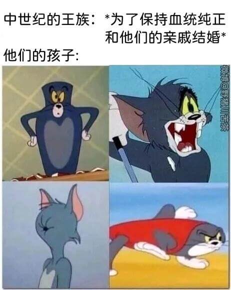 中世纪的王族：*为了保持血统纯正，和他们的亲戚结婚。他们的孩