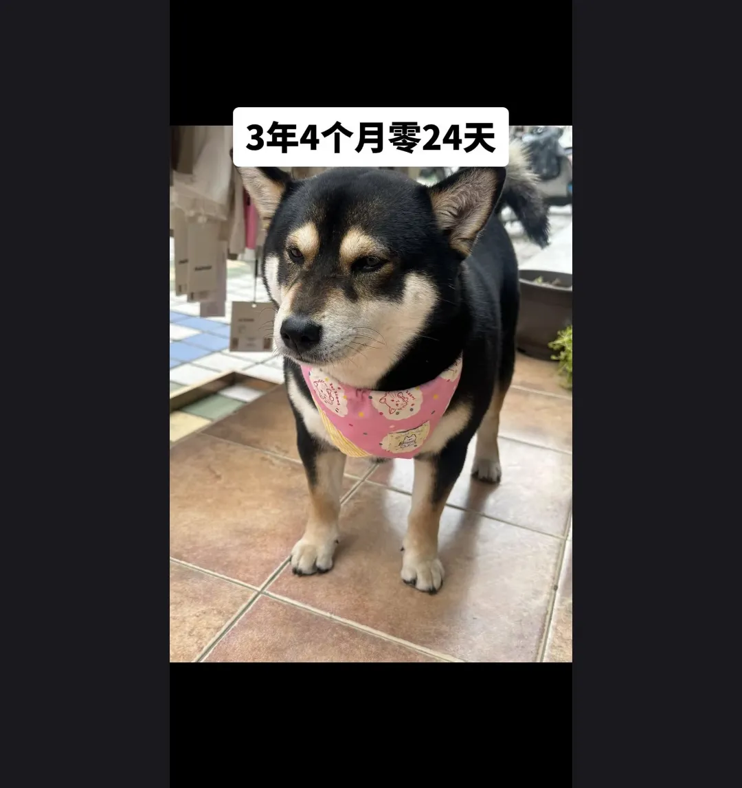 3年4个月零24天