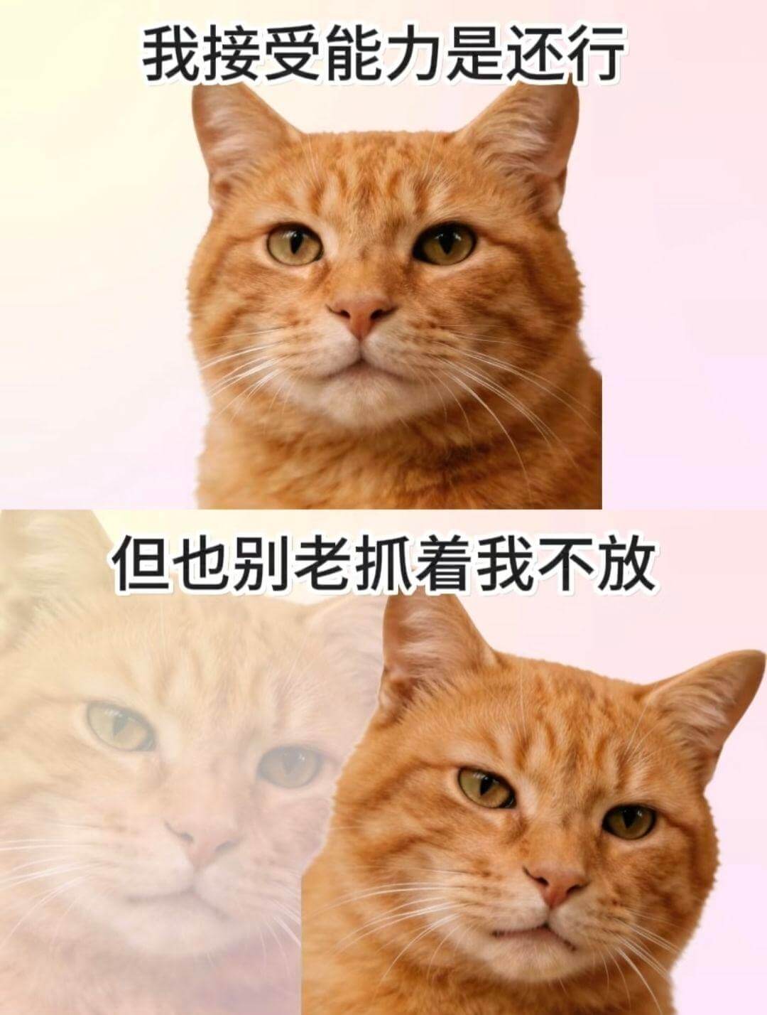 我接受能力是还行，但也别老抓着我不放。