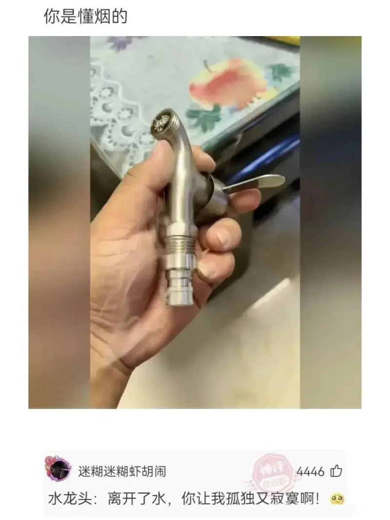 你是懂烟的迷糊迷糊虾胡闹4446水龙头:离开了水，你让我孤独