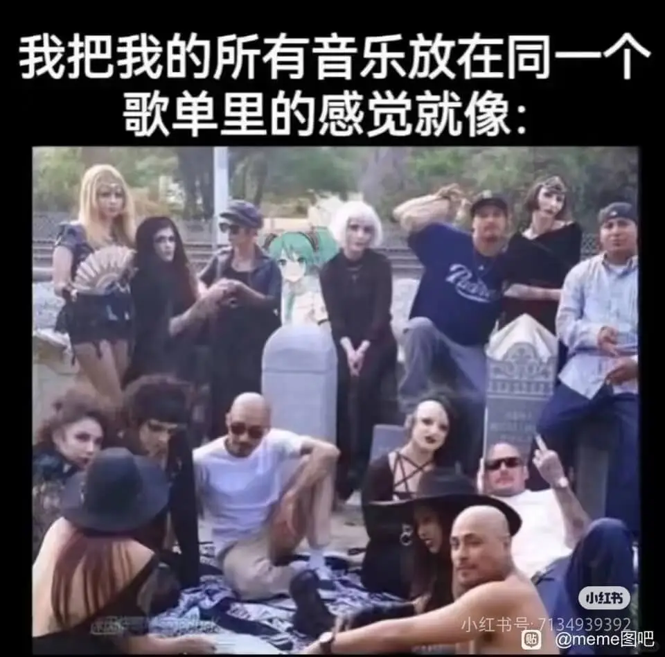 我把我的所有音乐放在同一个歌单里的感觉就像:小红书小红书号: