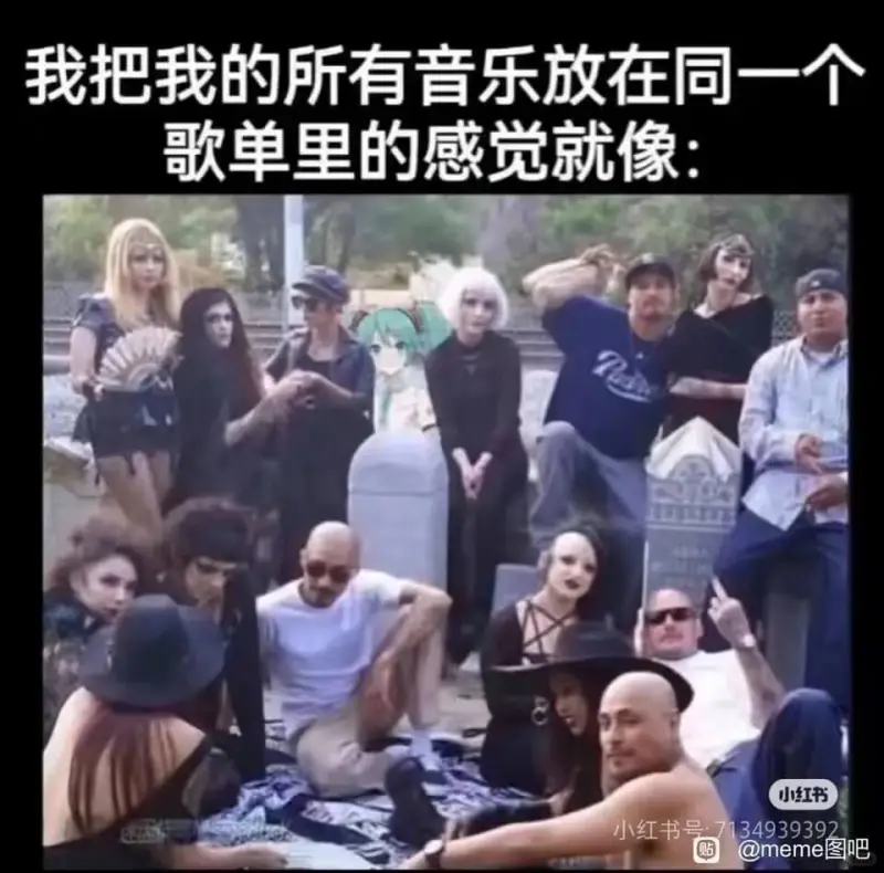 我把我的所有音乐放在同一个歌单里的感觉就像:小红书小红书号:
