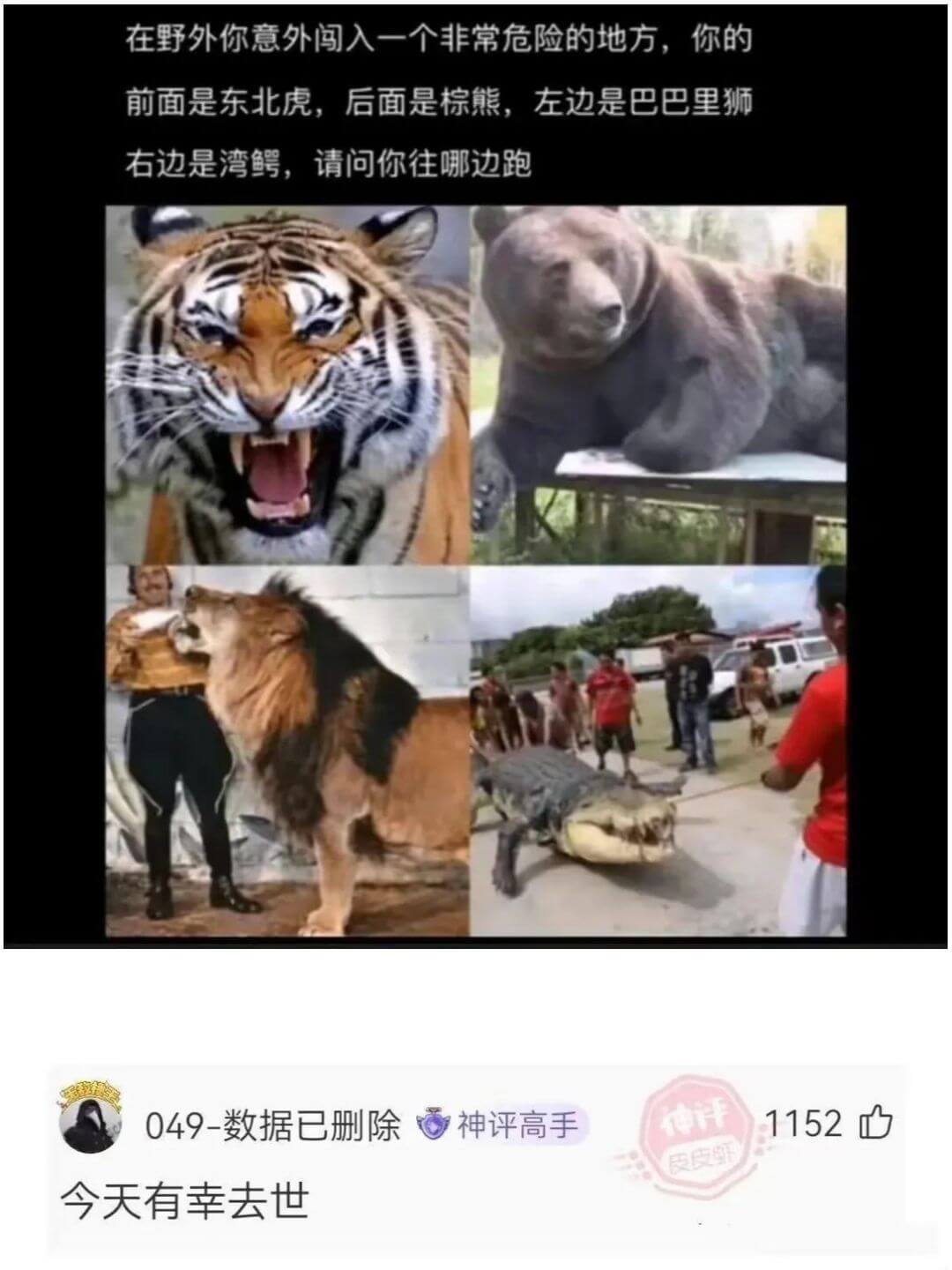 在野外你意外闯入一个非常危险的地方，你的前面是东北虎，后面是