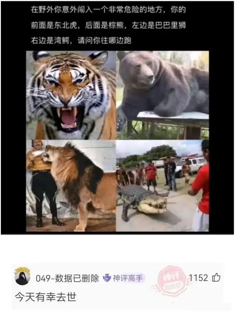 在野外你意外闯入一个非常危险的地方，你的前面是东北虎，后面是